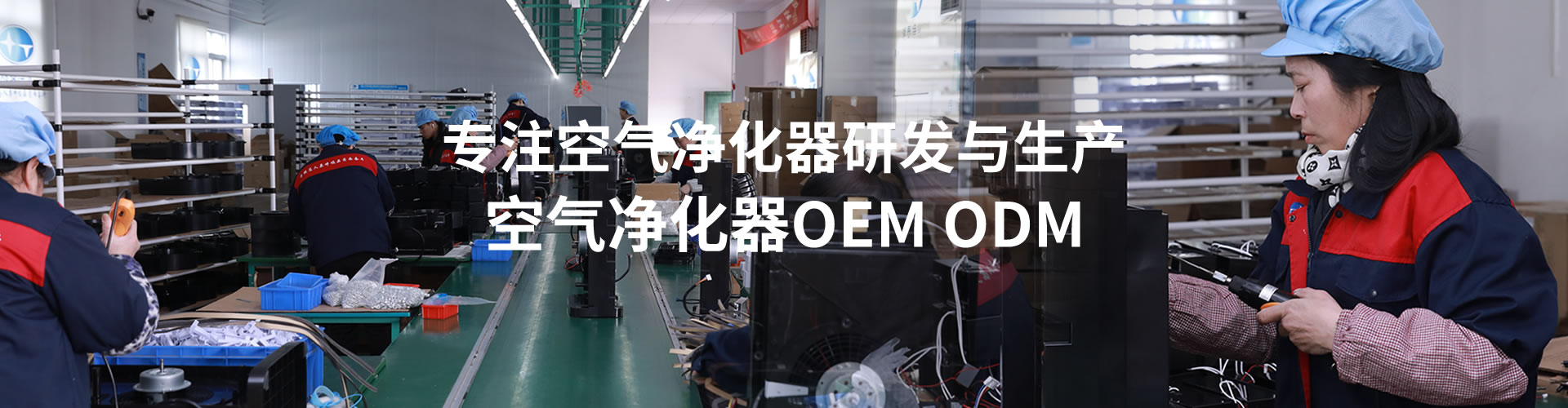 公司 公司